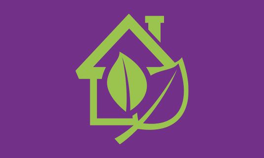 Netzero News2 Netzero News2